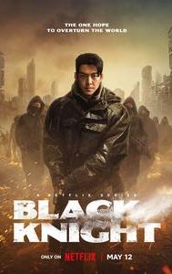 Black Knight (South Korean TV series)