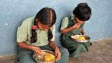 Dead Snake Found In Mid-Day Meal Packet In Maharashtra, Parents Claim