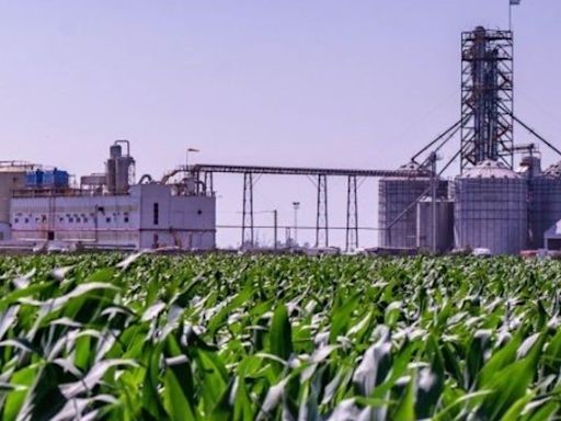 Productores de biocombustibles desmienten a las petroleras sobre el precio de las naftas y el diésel