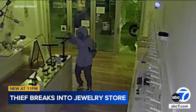 Video shows thief breaking into Santa Monica jewelry store, stealing about $4,000 worth of items