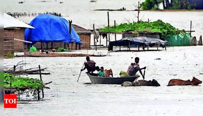 Flood situation in Assam, Arunachal Pradesh worsens; frontier areas cut off - Times of India