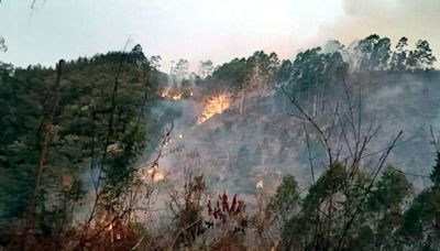 Suspeito de iniciar incêndio em Marechal Floriano é preso