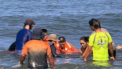 花紋海豚擱淺台南漁光島 海巡、成大聯手救援