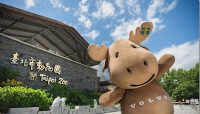 VOLVO 參與臺北市立動物園動物認養計畫，推動國王企鵝保育及環境永續