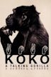 Koko, le gorille qui parle
