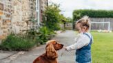 The best parenting tip I've learned came from a dog whisperer. It helped me connect with my toddler during a full-blown tantrum.