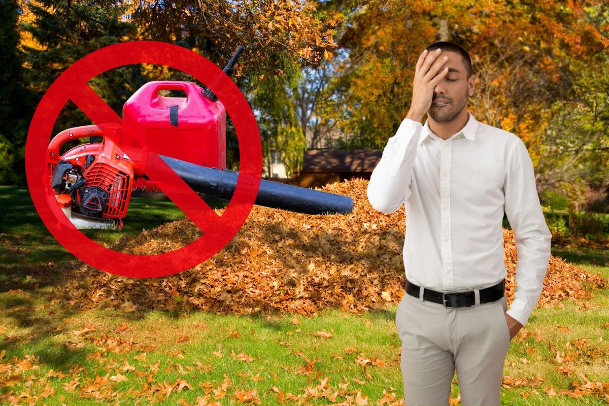 New Jersey's absurd leaf blower ban — NJ Top News