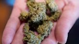 US poised to ease restrictions on marijuana in historic shift, but it'll remain controlled substance