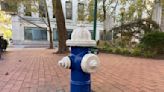 Ratepayers to shoulder costs of fire hydrant testing, upgrades