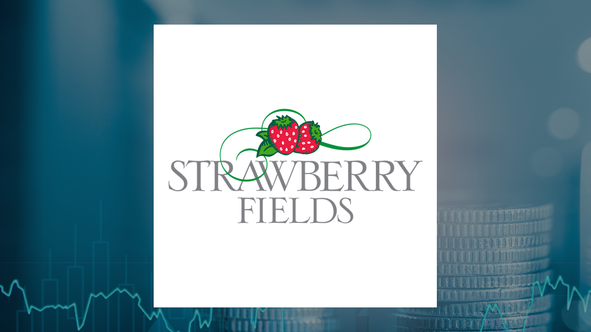 Strawberry Fields REIT, Inc. (NYSEAMERICAN:STRW) CEO Moishe Gubin Acquires 9,529 Shares of Stock