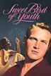 Sweet Bird of Youth (1962 film)