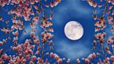 What May's full moon in Sagittarius means for you