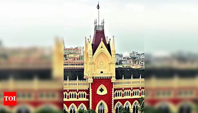 Calcutta High Court Lawyers Protest Against Police Assault in South 24 Parganas | Kolkata News - Times of India