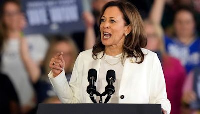 Kamala Harris shuts down anti-Israel protesters during campaign speech in Michigan: 'I'm speaking'