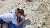 Alabama Fossil Hunter Finds 34-Million-Year-Old Whale Skull on Her Family Farm