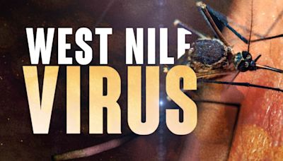 West Nile Virus detected in mosquitoes in St. Joseph County