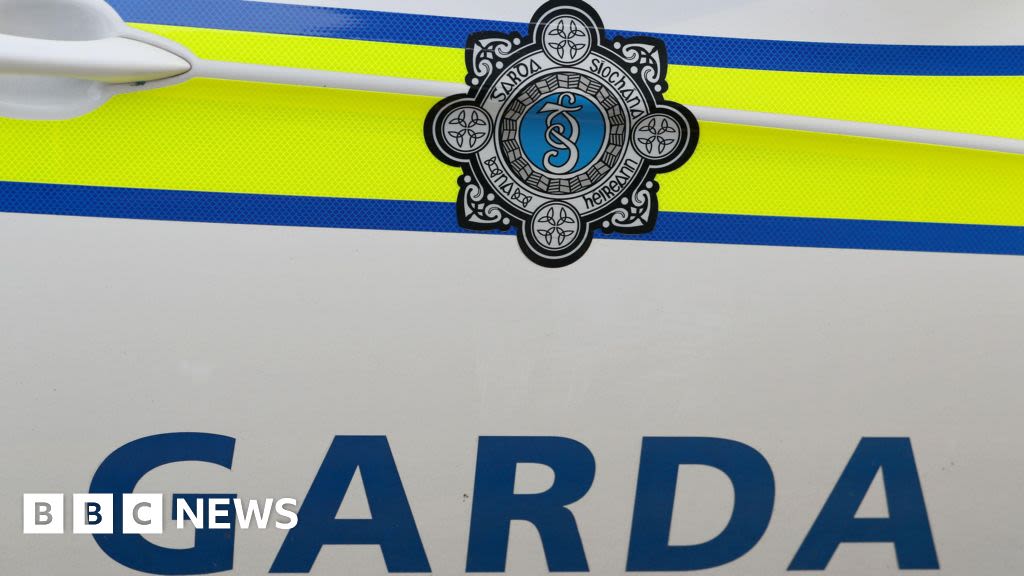 Pit bull terrier shot by Irish police after two injured