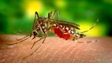 Human case of Encephalitis detected in Southwest Georgia, officials confirm