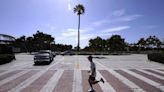 Column: Heed the warnings of this palm tree, a 200-year-old drought survivor
