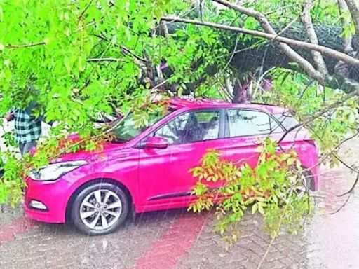 Heavy rain pounds in Kochi; couple hurt, houses damaged | Kochi News - Times of India