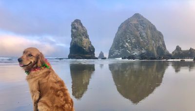 Two Oregon coast spots in the running for best dog-friendly beach in the country