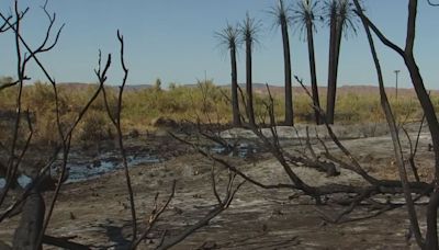 Refuge Fire impacts on wildlife at Yuma-area Imperial National Wildlife Refuge