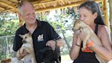 Inside the world’s largest rabies control drive – set up by British retirees