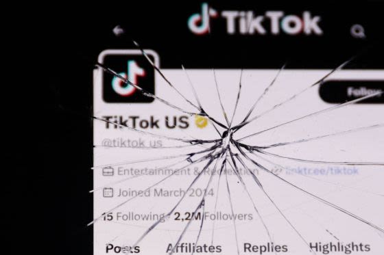 TikTok Sues U.S. Government Over Divestment Law