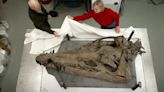Scientists Unearth Skull of Terrifying Sea Monster
