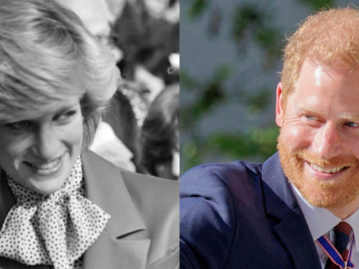 How Princess Diana's Siblings Showed Up For Prince Harry After Royal Family 'Snubbed' His Event