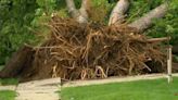 Residents picking up pieces following storm damage throughout Des Moines metro