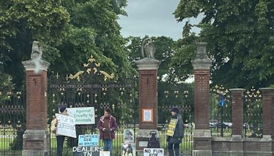 Horses die at racecourse on same day as vegans call for horseracing ban