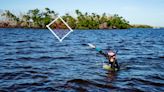 Florida monitoring sea grasses in aftermath of Hurricane Ian. What did scientists find?