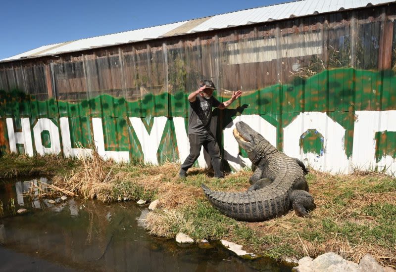 ‘Happy Gilmore’ alligator retired after wrecking set of ’90s sitcom: caretaker