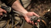 It's like you're fishing on land: Here's what it's like to go truffle hunting in Croatia