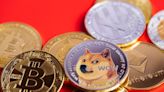 Kabosu, the Shiba Inu that inspired the 'Doge' meme behind Dogecoin cryptocurrency, has died