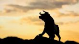 Is the Bull Market Coming to an End? What Retirement Savers Should Do to Prepare