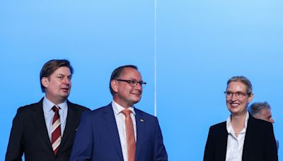 AfD beginnt EU-Wahlkampf in Donaueschingen - Ohne Spitzenkandidat Krah