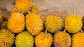 China's lust for durian is creating fortunes in Southeast Asia