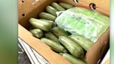 6 tons of meth found inside shipments of squash, border patrol says