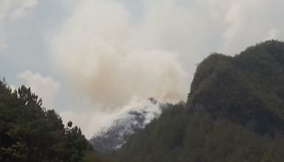 Incendios forestales en Guatemala han afectado 23 mil 161 hectáreas de bosque