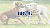 Attorney Paul Greenberg of Briskman Briskman & Greenberg Highlights Seasonal Surge in Dog Bite Incidents