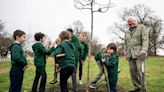 Sir David Attenborough plants oak tree in Richmond Park to open woodland in honour of Queen
