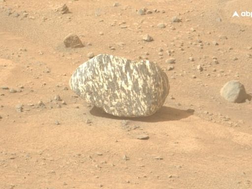 Meet Freya Castle, The Mysterious 'Zebra Rock' NASA Perseverance Rover Found On Mars