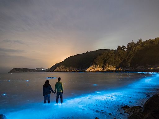 馬祖在地旅行社推薦，藍眼淚包車深度旅遊