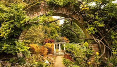 Visit pair of spectacular Norfolk gardens as part of national scheme