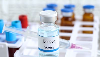 High caseload of dengue in New York and New Jersey