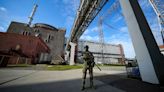 Russia detains Zaporizhzhia nuclear plant head