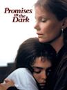 Promises in the Dark (film)