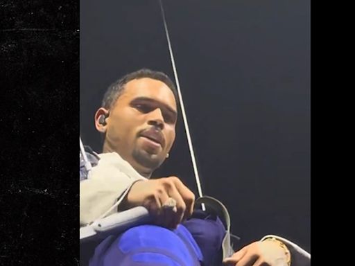 Chris Brown's Bulge Goes Viral After Fans Spot Huge Imprint at Concert